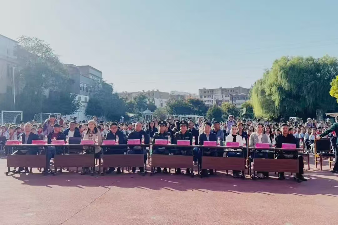 图片4