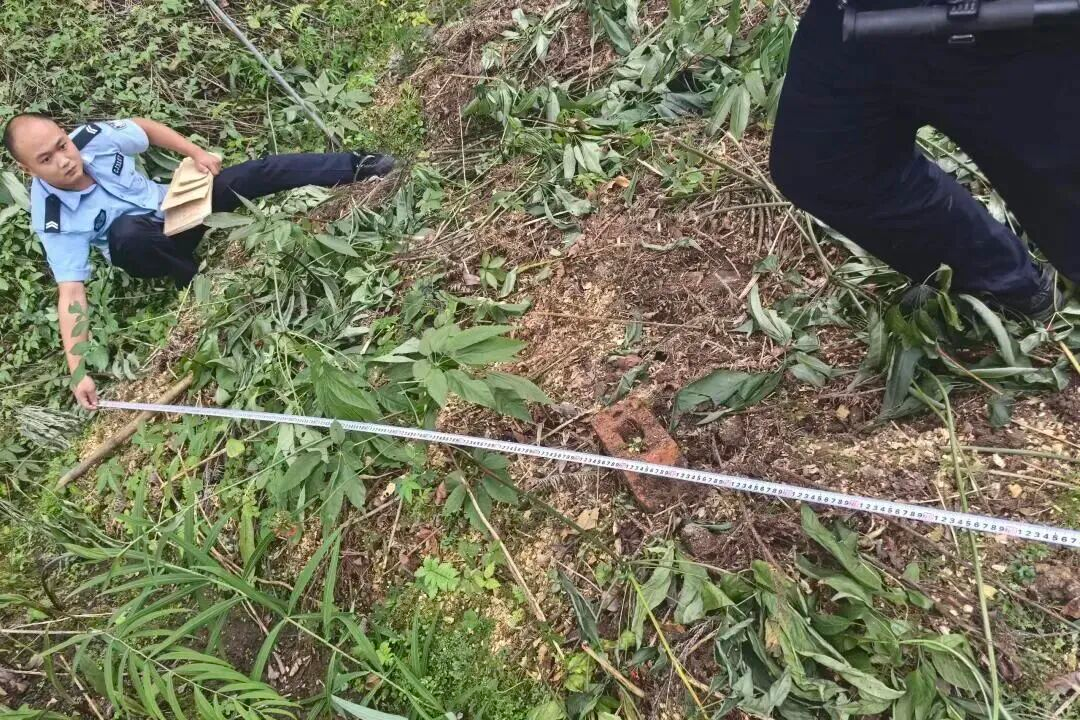 图片4