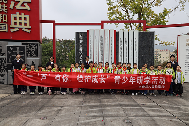 图片12