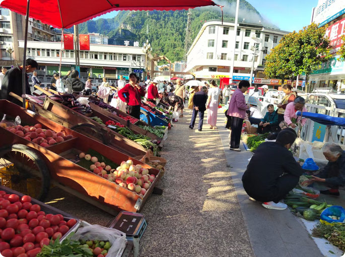 局部截取_20260807_114340