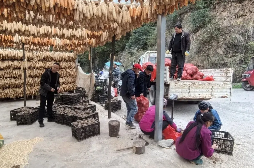 图片1