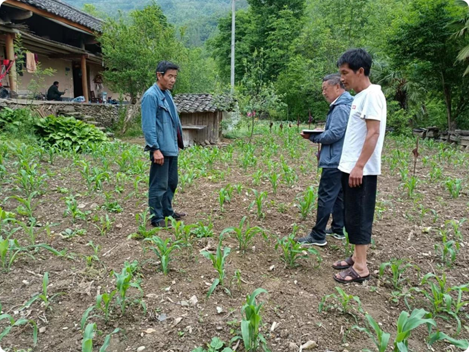 局部截取_20260930_080715